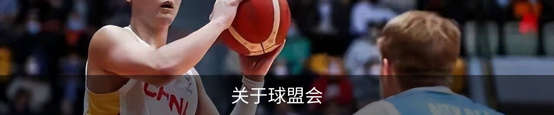 关于球盟会